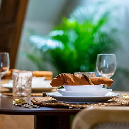 New Family Floor Utopia 10min To Rotterdam App5 Oda ve Kahvaltı 3*